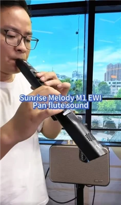 Woodwind Controller Sunrise Melody Music ви придружава