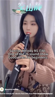Sunrise Melody M1 Electronic Digital Tube Music е част от живота