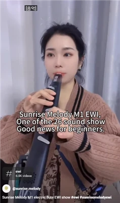 Sunrise Melody M1 Digital Flute Instrument Музиката е част от живота