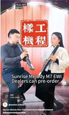 Sunrise Melody M7 Дървени духови аерофонни инструменти
